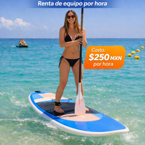 Clases de Paddleboard